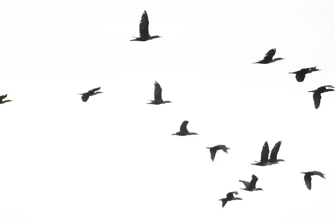 Evidence from Field Observations and Studies (Image Credits: Unsplash)