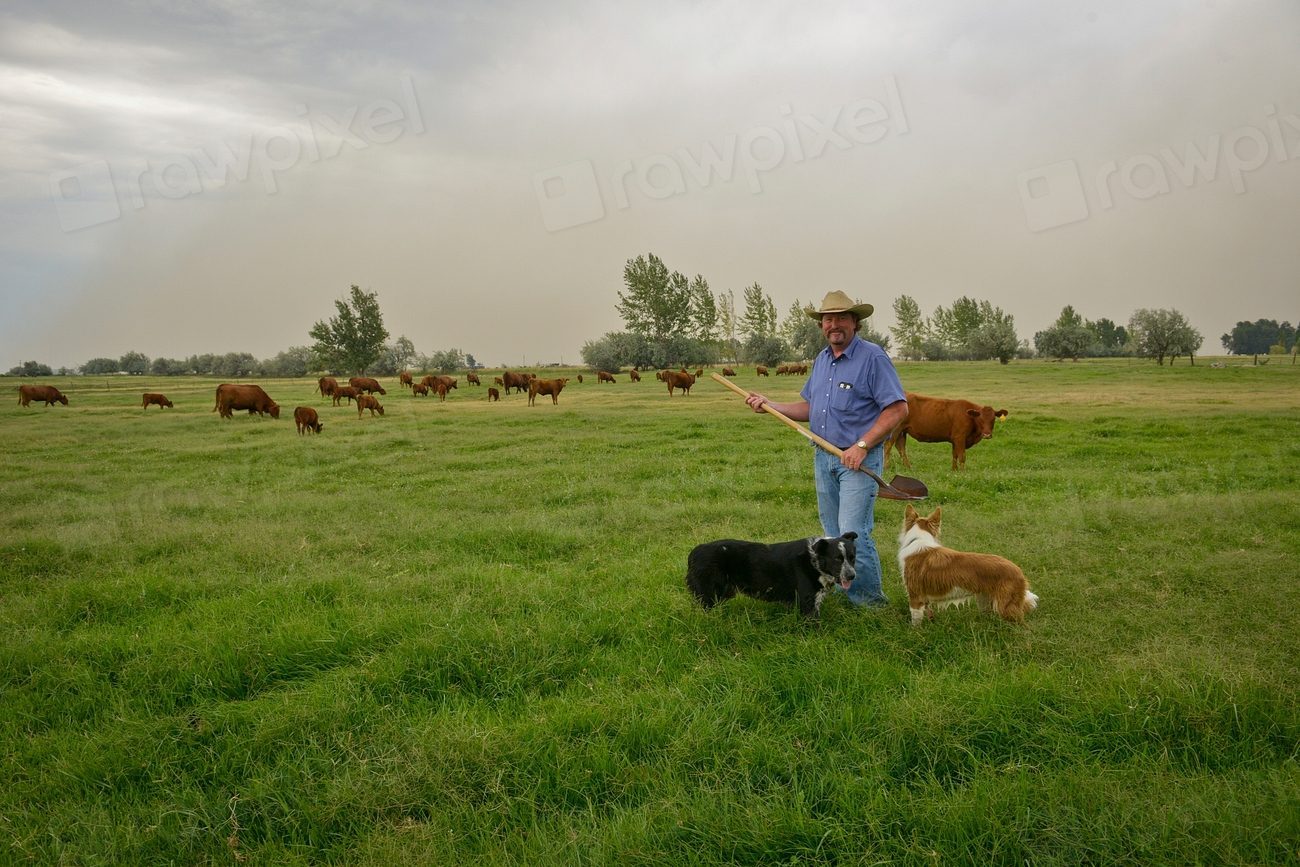 Use Guardian Animals as Your First Line of Defense (Image Credits: Rawpixel)
