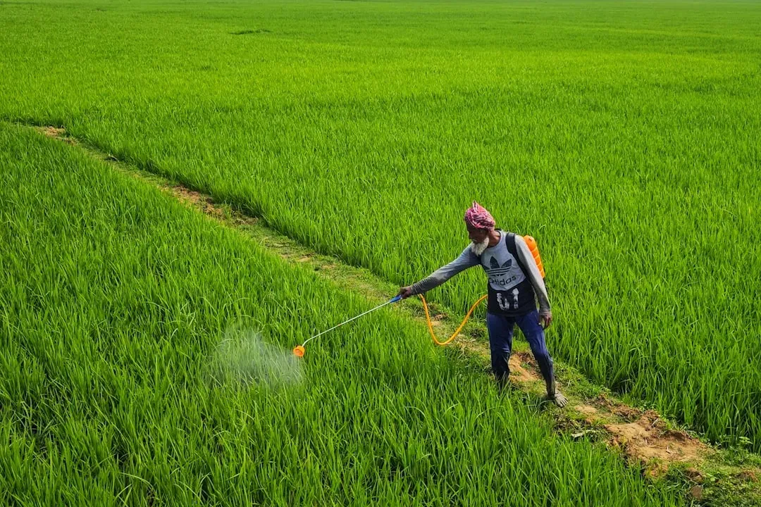 Pesticides and Poisons Accumulate in the Food Chain (Image Credits: Unsplash)