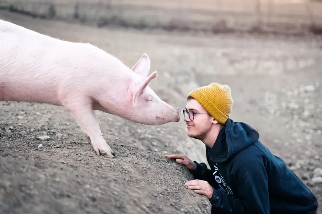 8. Lulu the Pig Who Saved Her Owner's Life (Image Credits: Unsplash)
