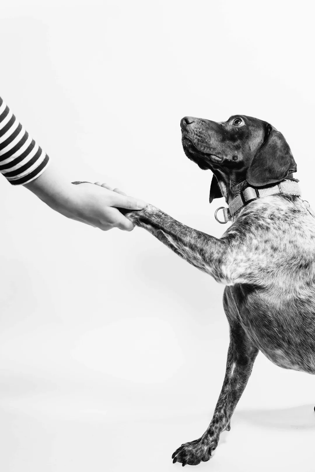 #8 - More Clear, Calm Communication (And Less Loud Chaos) (Image Credits: Unsplash)