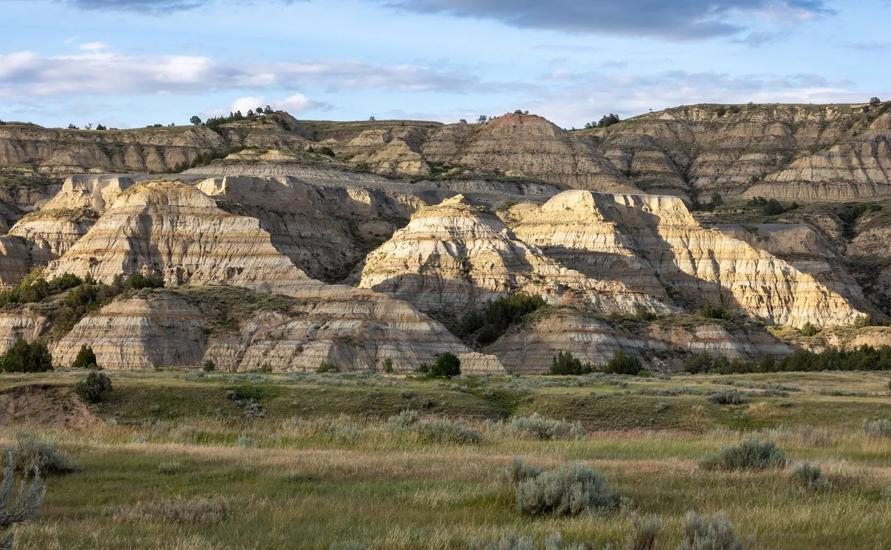 #6 A cooling climate and the rise of open grassland (Image Credits: Pixabay)