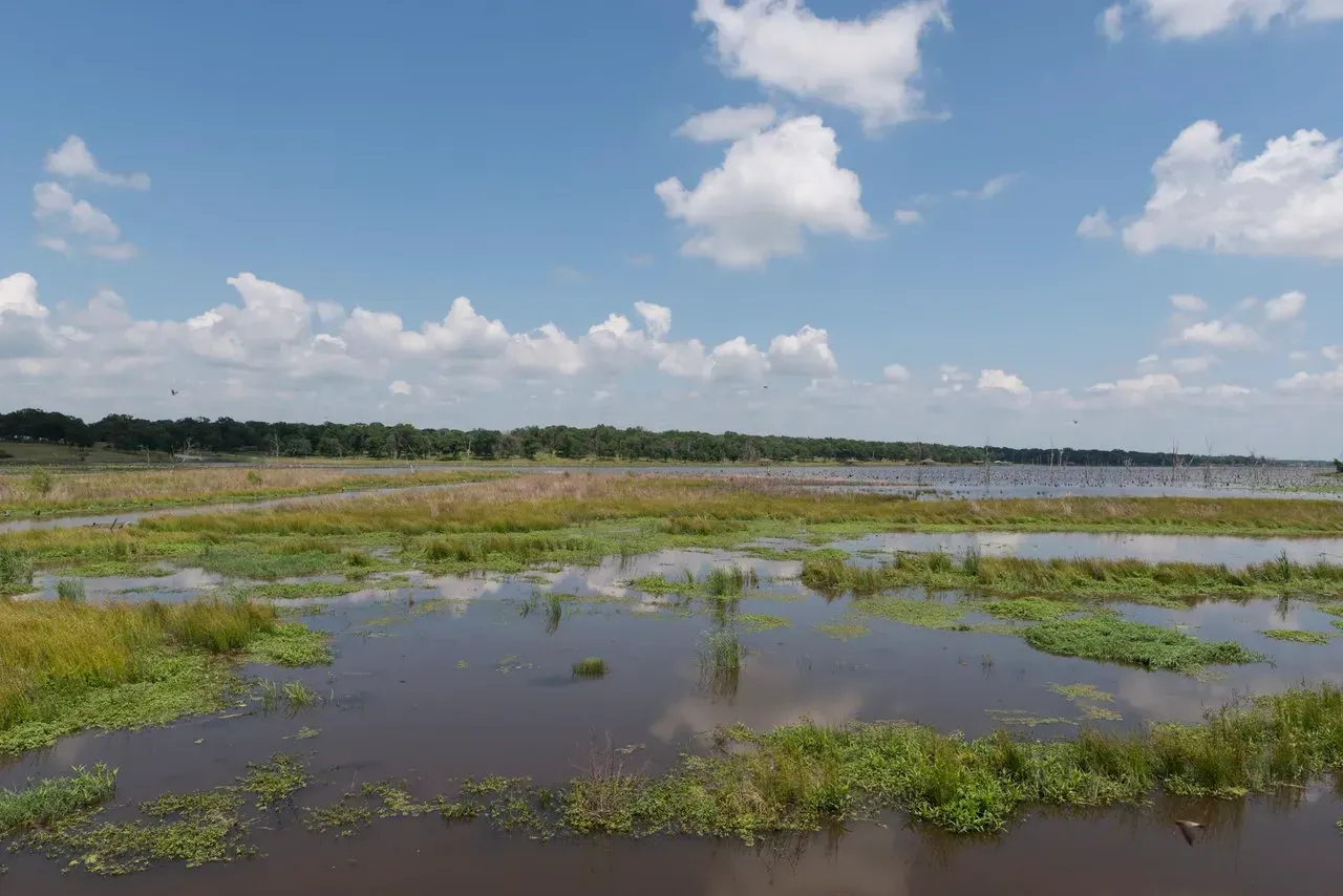 Lake Fork, Texas: The Legend That Still Delivers (Image Credits: Lake Fork, Texas: Wikimedia)