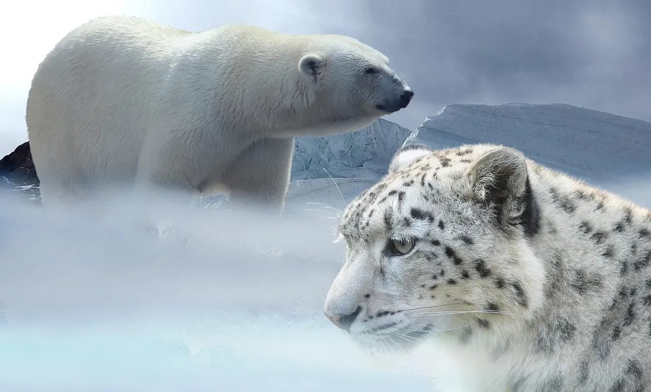 #10: Climate Change Poses the Greatest Long-Term Threat to Their Survival (Image Credits: Pixabay)
