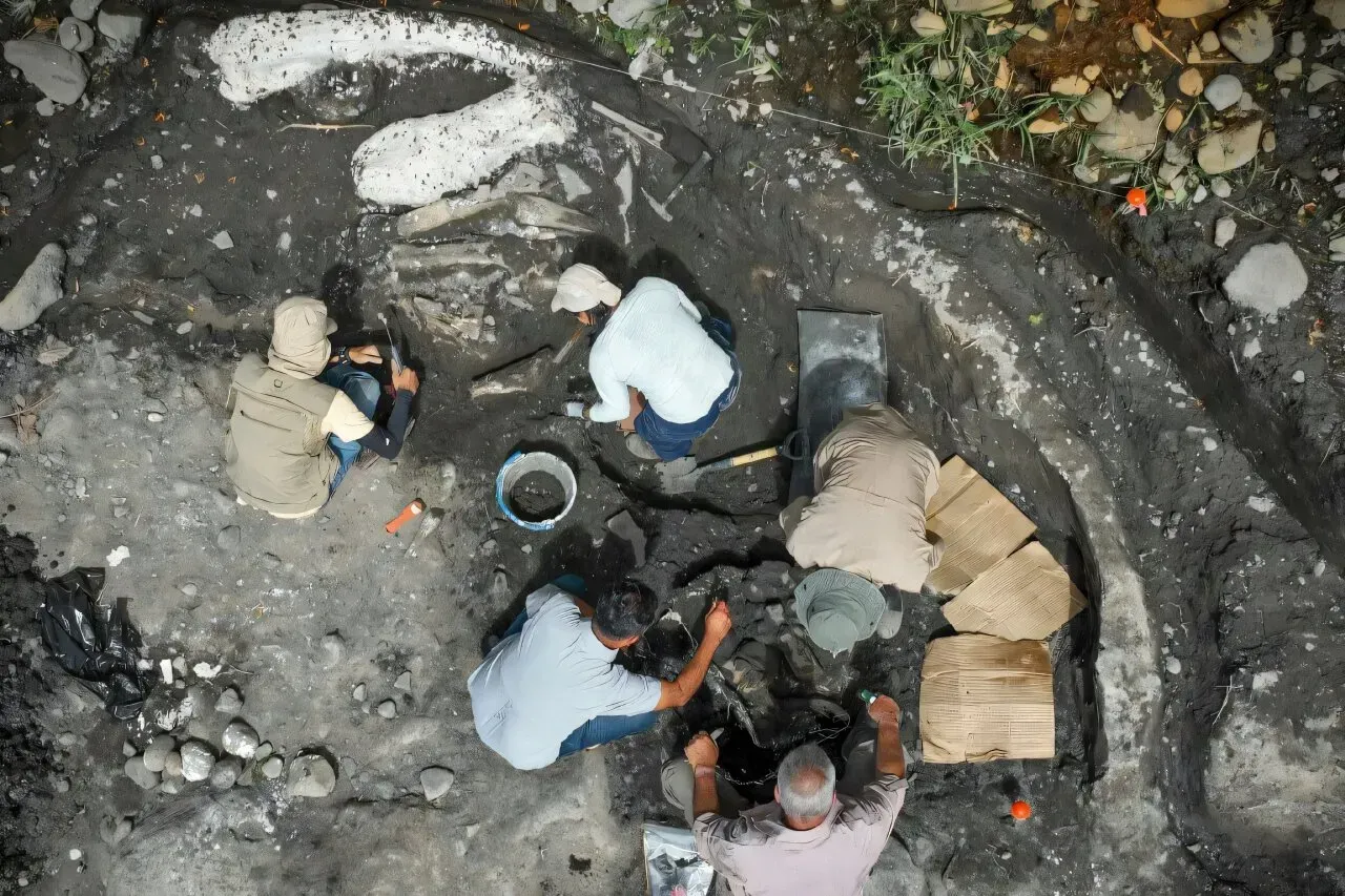 The Graveyard That Time Forgot (Image Credits: Phys.org)