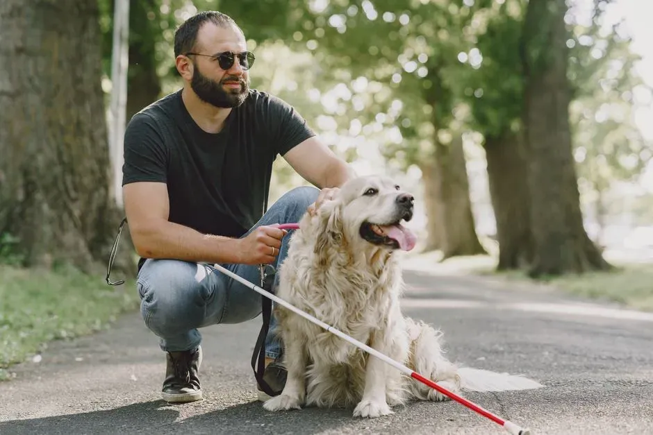 #6 - Dogs (Image Credits: Pexels)