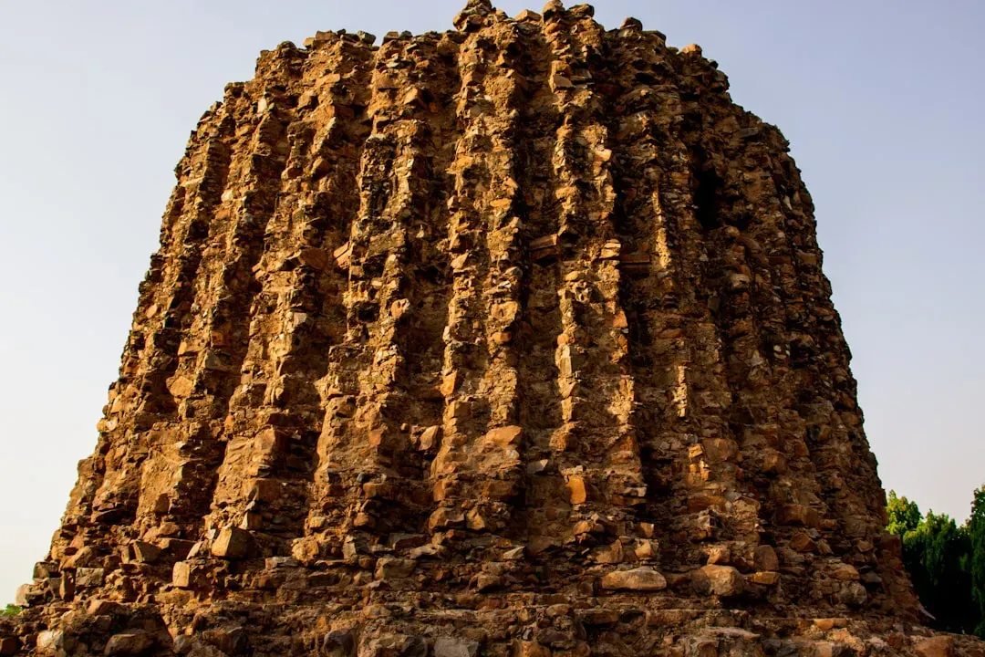Compass Termite Mounds: Solar-Oriented Temperature Regulators (Image Credits: Unsplash)