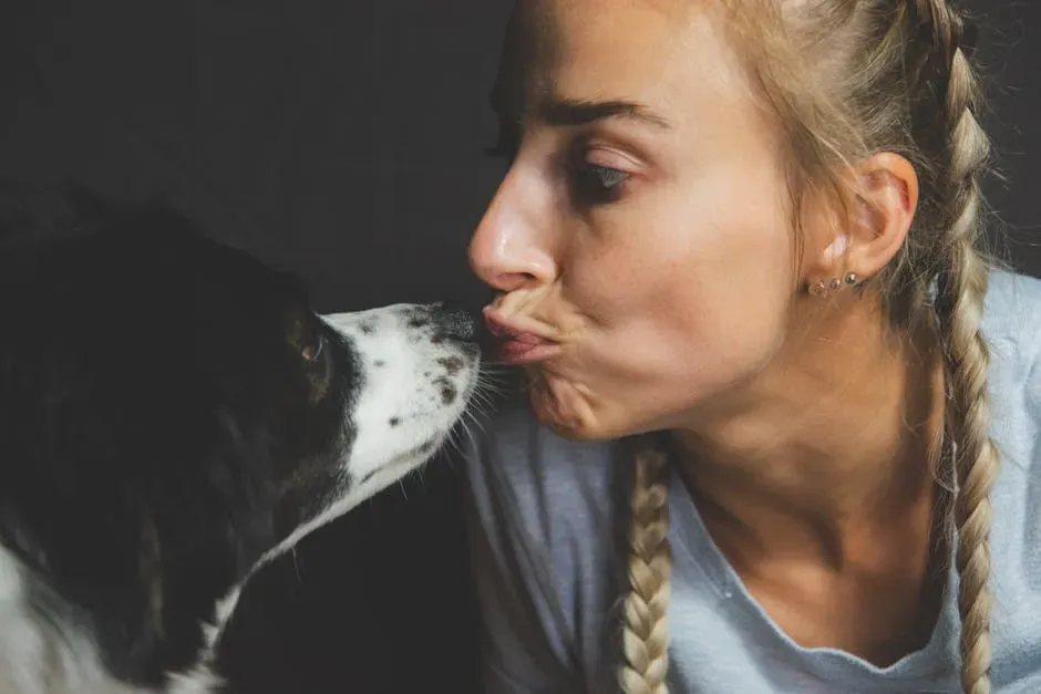 Dogs Read Faces Like Tiny, Furry Psychologists (Image Credits: Pexels)