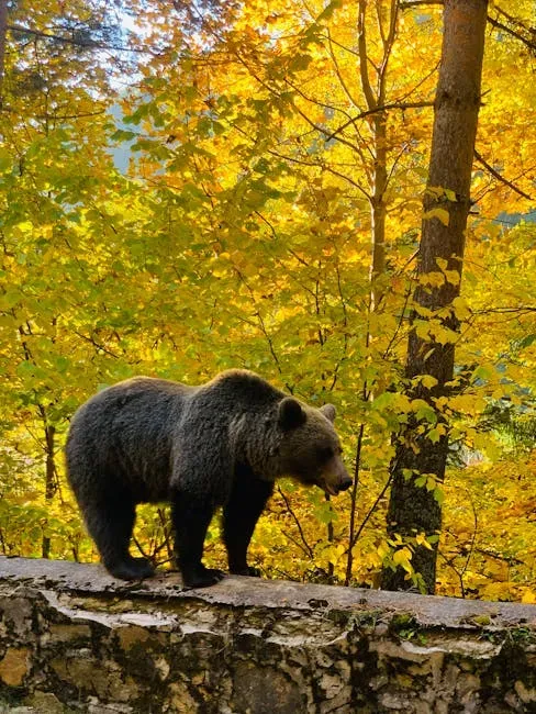 You Are Deeply Connected to the Natural World and Its Cycles (Image Credits: Pexels)