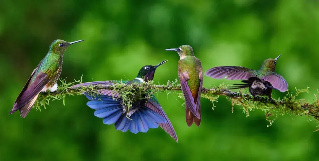 They adjust roosting spots for better shelter (Image Credits: Unsplash)
