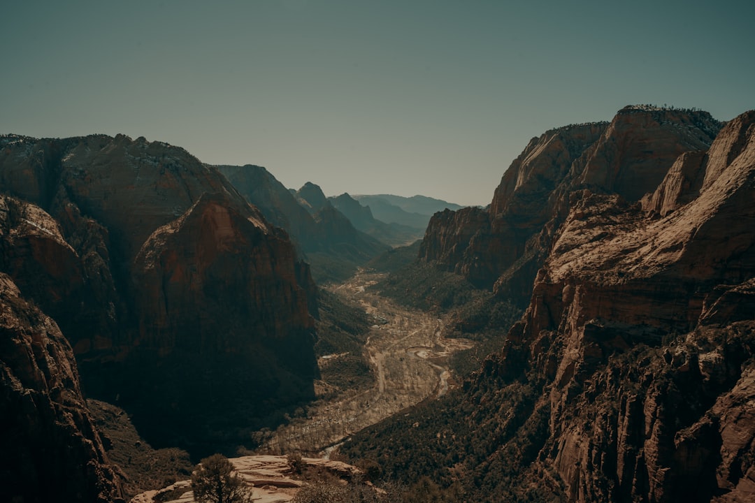 The Doublet Mystery Unfolds (Image Credits: Unsplash)