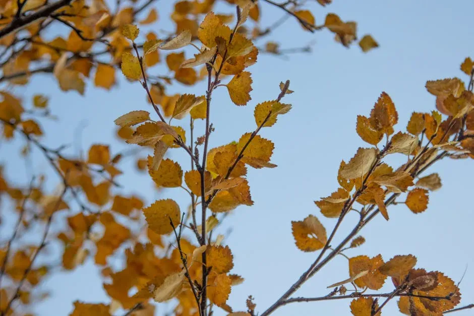 #1: Choose the Right Species for Your Climate (Image Credits: Pexels)