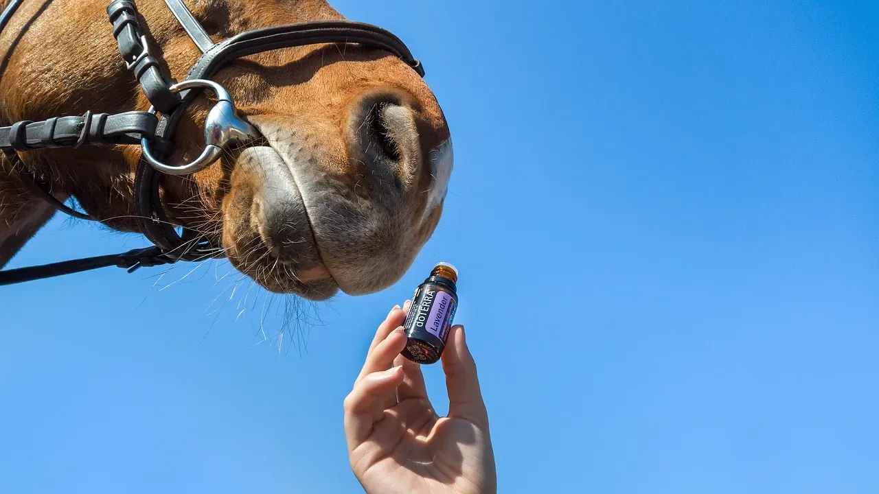 #12 – Skipping a Targeted Deworming Plan (Image Credits: Pixabay)