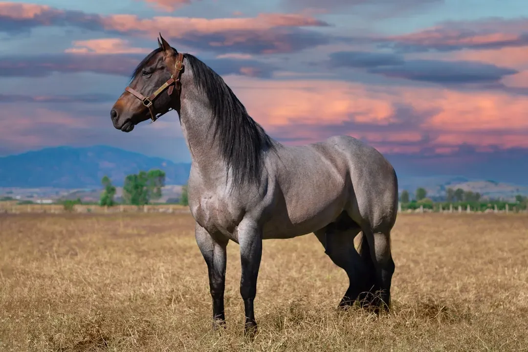 The Horse as a Sacred Relative, Not an Animal (Image Credits: Unsplash)