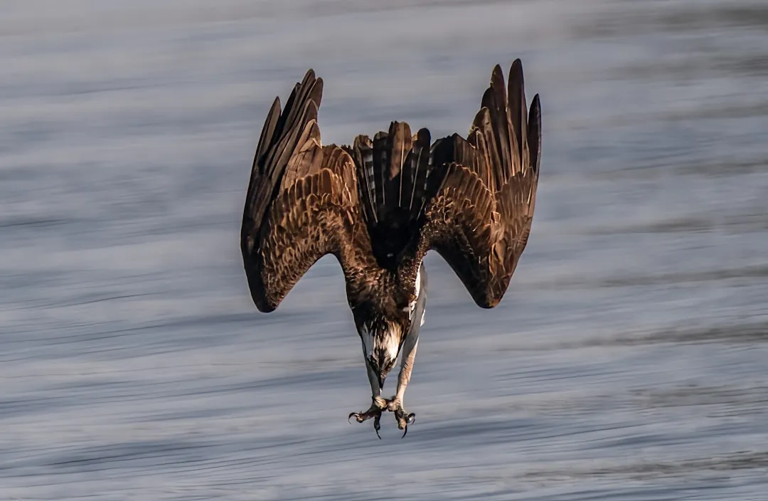 2. Dramatic Feet-First Plunges (Image Credits: Unsplash)