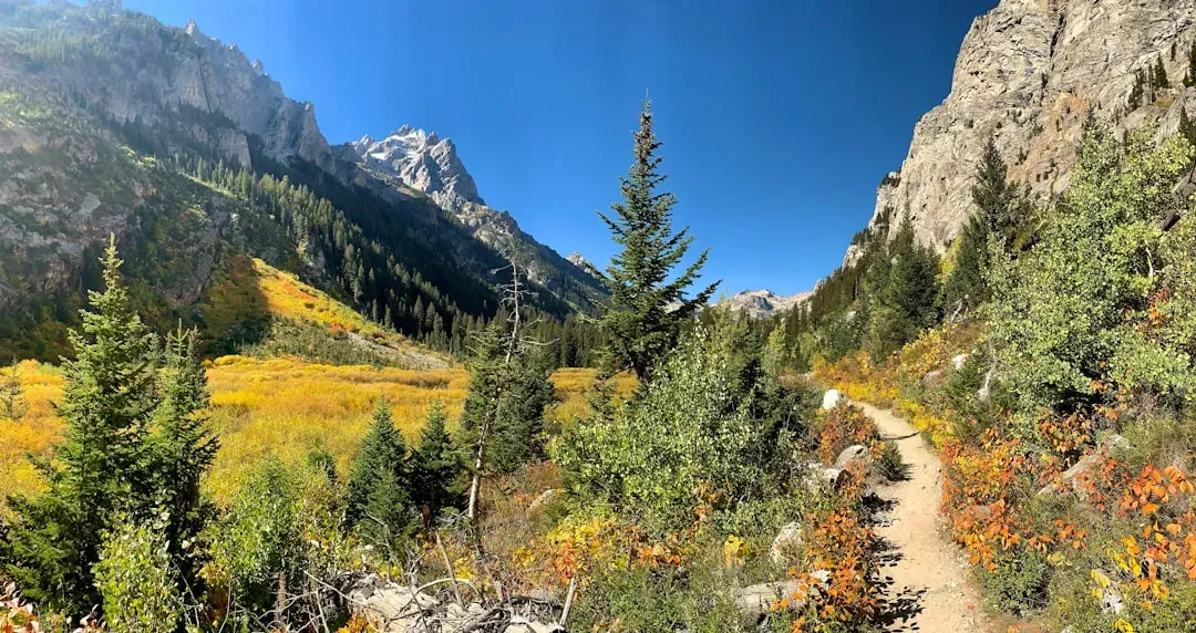 Wyoming: Where Wild Places Still Feel Wild (Image Credits: Unsplash)