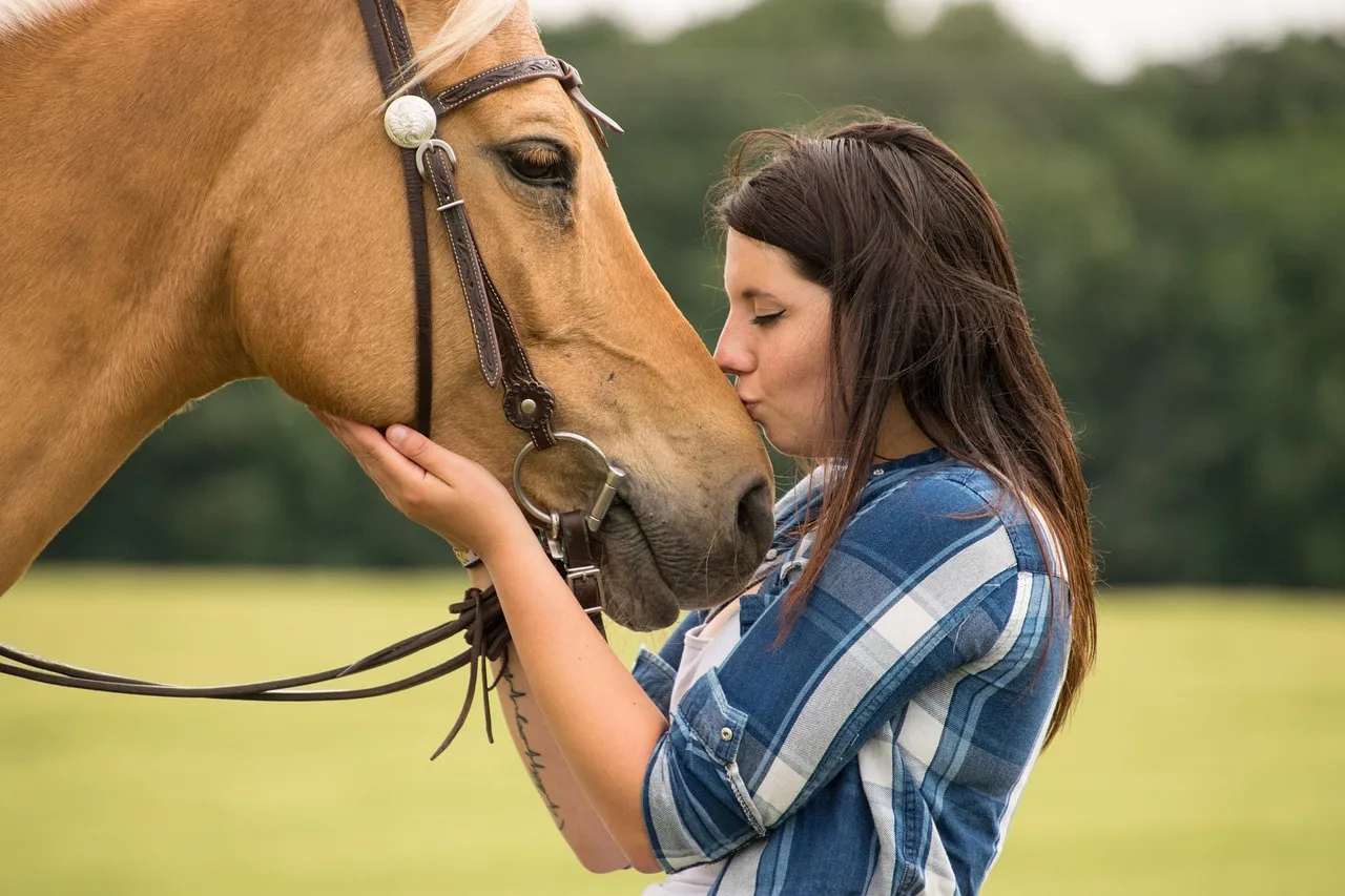 #7 - They Choose You When They're Hurt or Unwell (Image Credits: Pixabay)