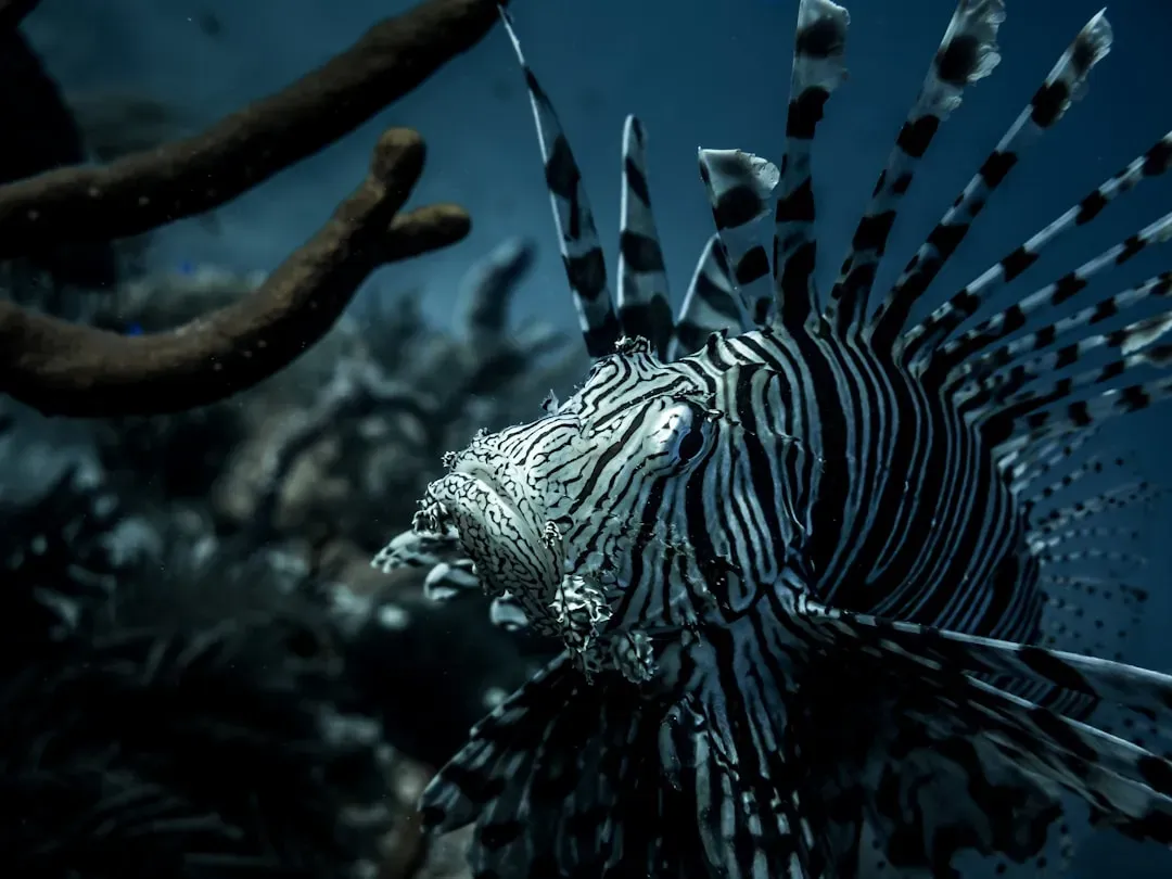 Conclusion: Finding Your Place in the Food Chain (Image Credits: Unsplash)