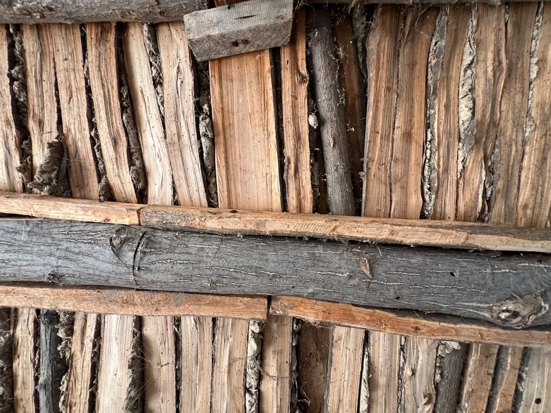 Recognize Early Warning Signs of Termite Presence (Image Credits: Unsplash)