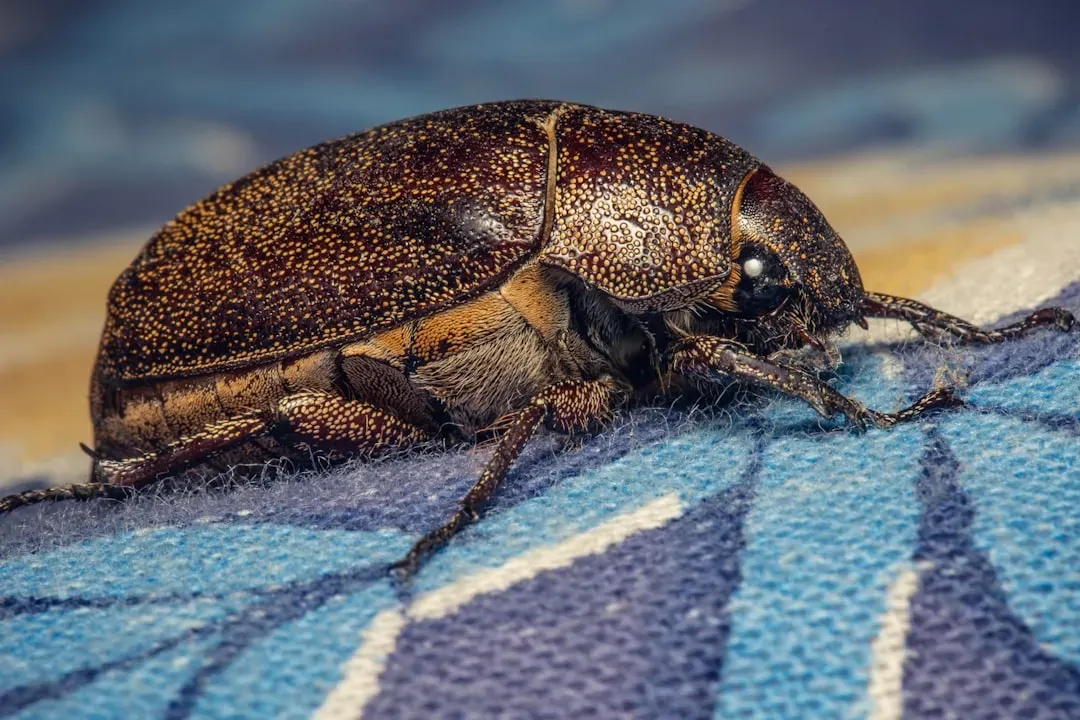 Histamine and Pheromones: Bed Bugs Calling for Backup (Image Credits: Unsplash)