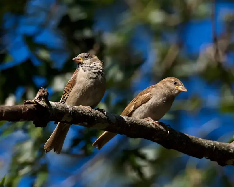 #7. They Form Deep, Long-Term Social Bonds (Image Credits: Pexels)