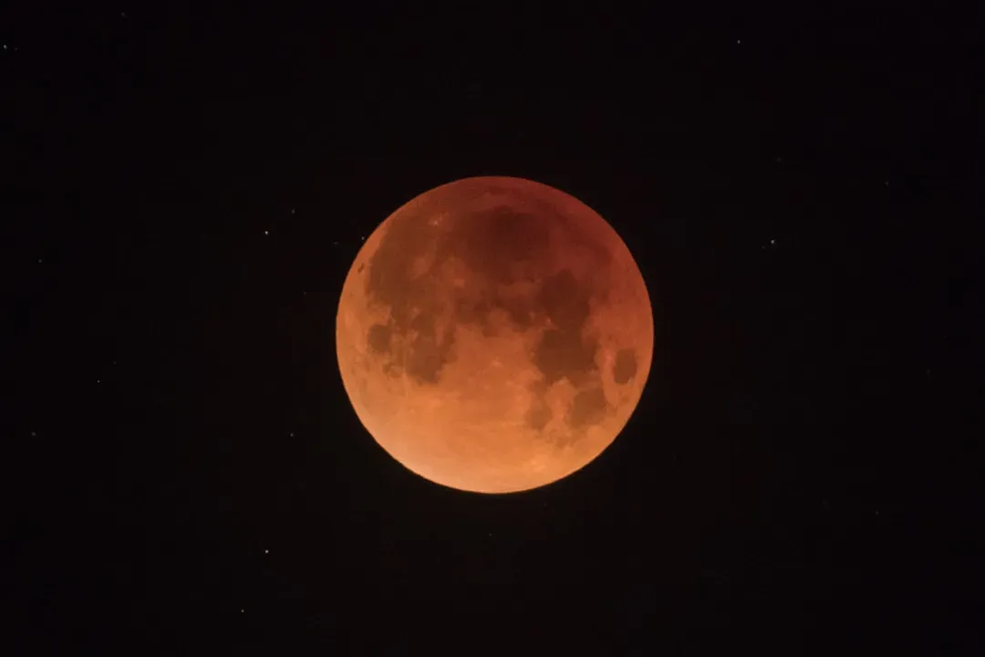 Mars Might Be Our Cosmic Cousin (Image Credits: Unsplash)