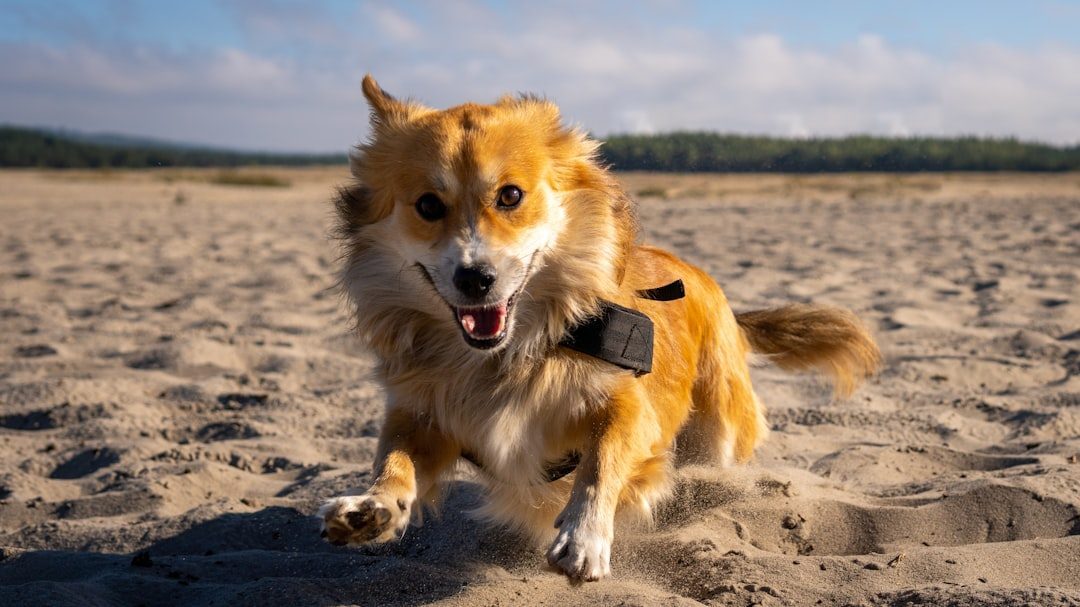 Batteries: Small but Lethal (Image Credits: Unsplash)
