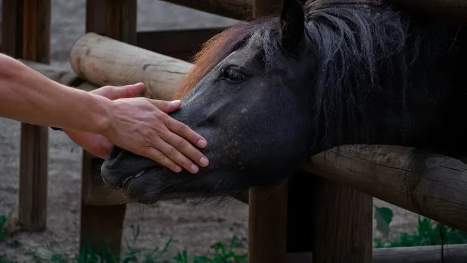 1. Voluntary Approach in the Pasture (Image Credits: Pexels)