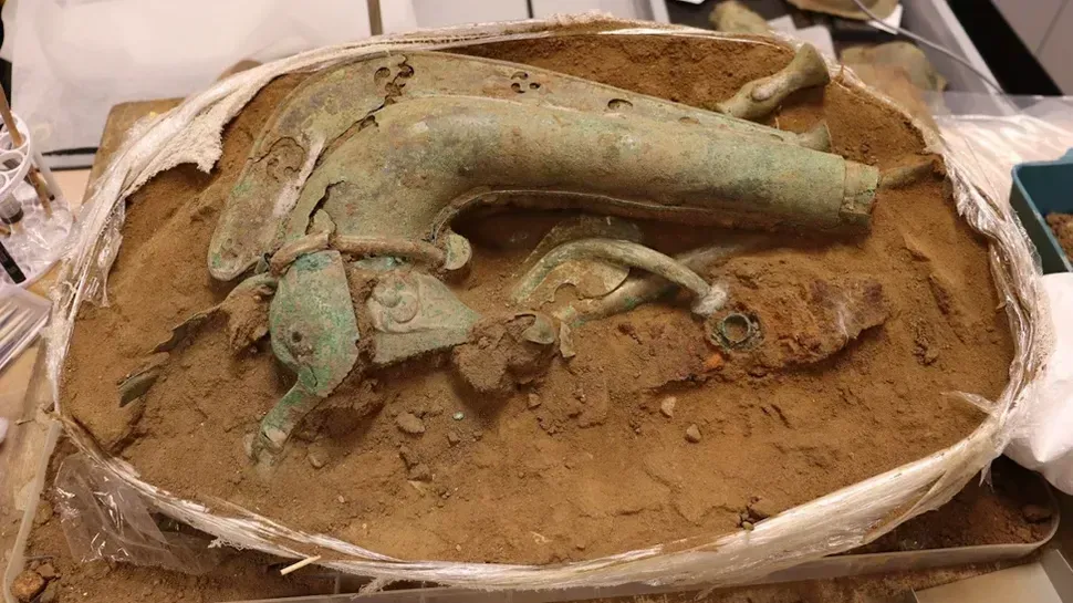 An Extraordinary Find Beneath English Soil (Image Credits: Carnyx: National History Museum)