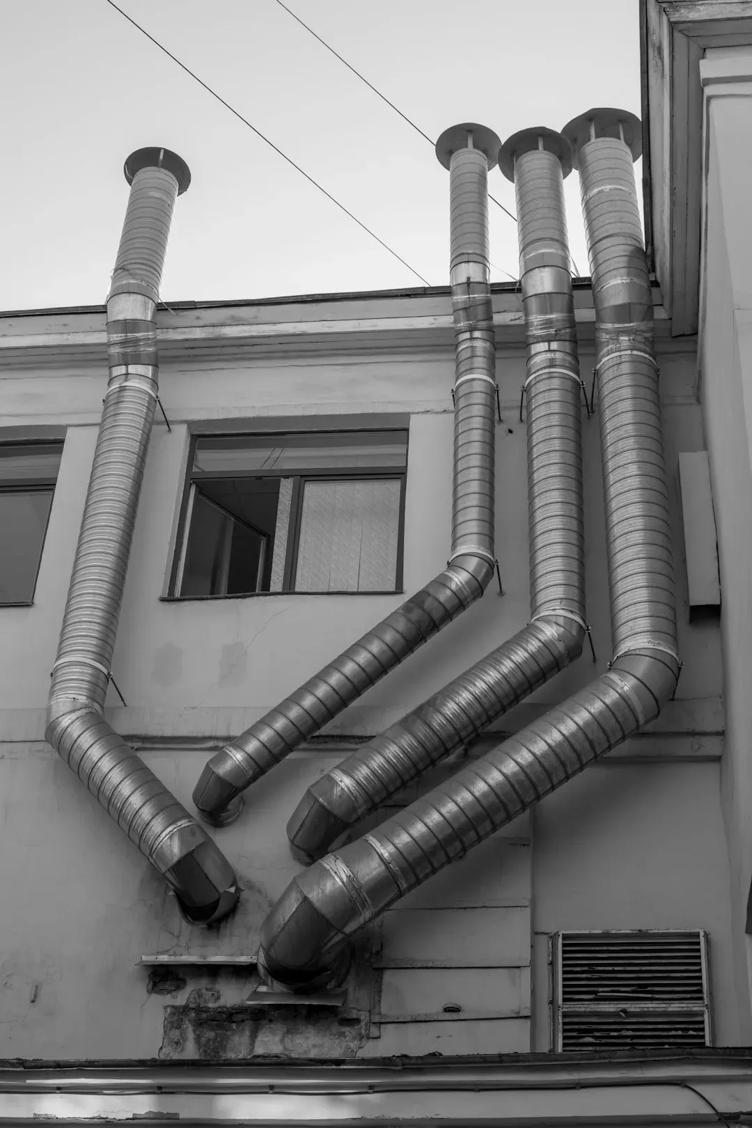 Moisture Has Its Own Peculiar Smell (Image Credits: Unsplash)