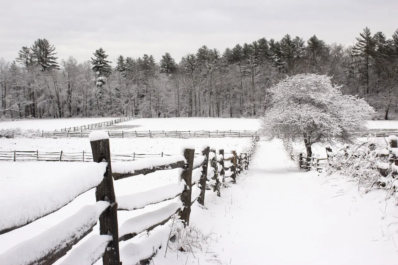 New England: Frequent Flurries and Festive Conditions (Image Credits: Pixabay)