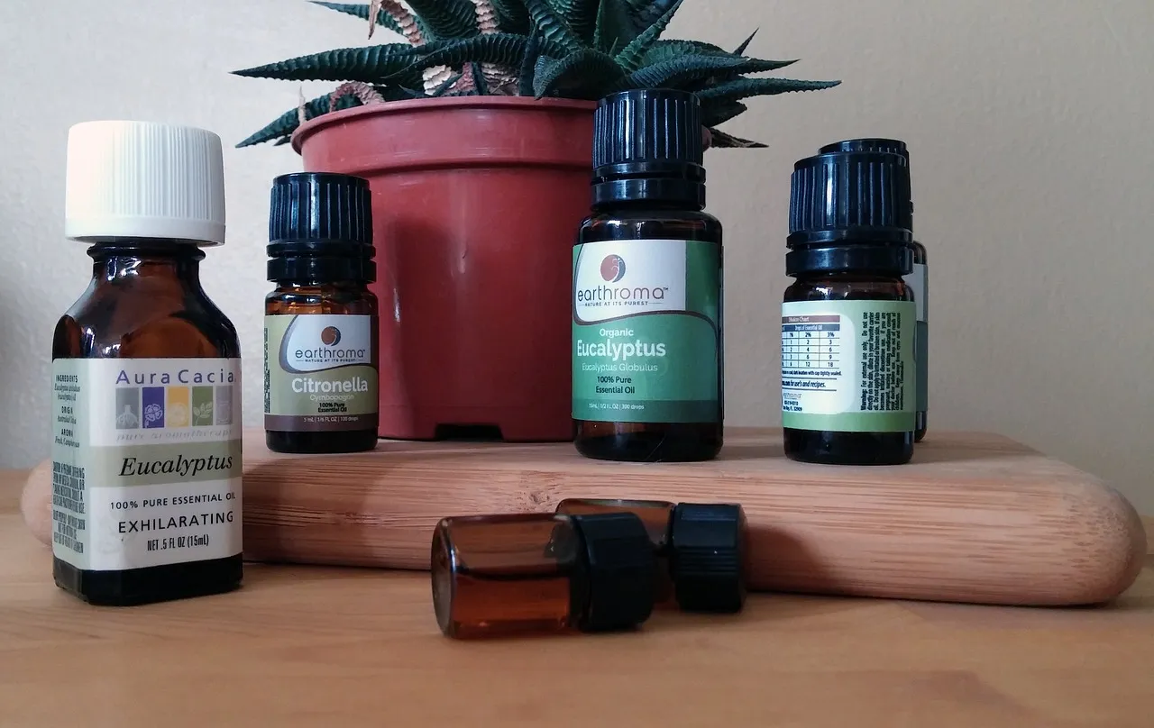 4. Eucalyptus and tea tree oil (Image Credits: Pixabay)
