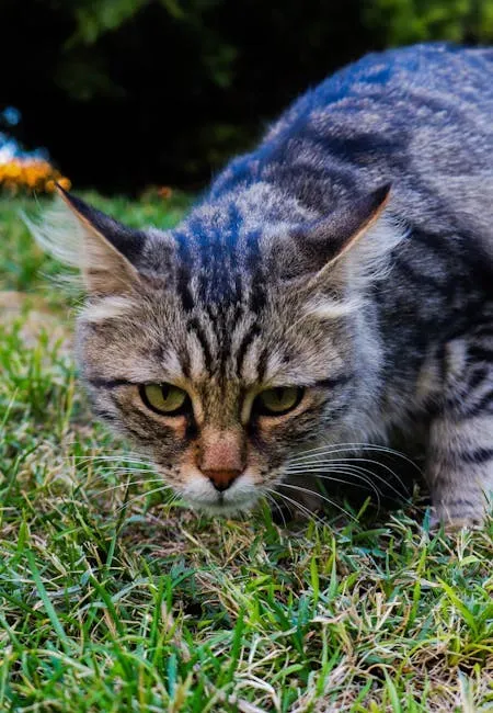 A Domestication That Barely Touched the Hunter (Image Credits: Pexels)