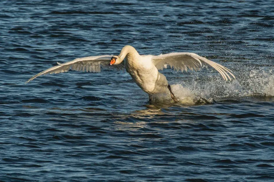 Libra (September 23 – October 22): The Swan (Image Credits: Pexels)
