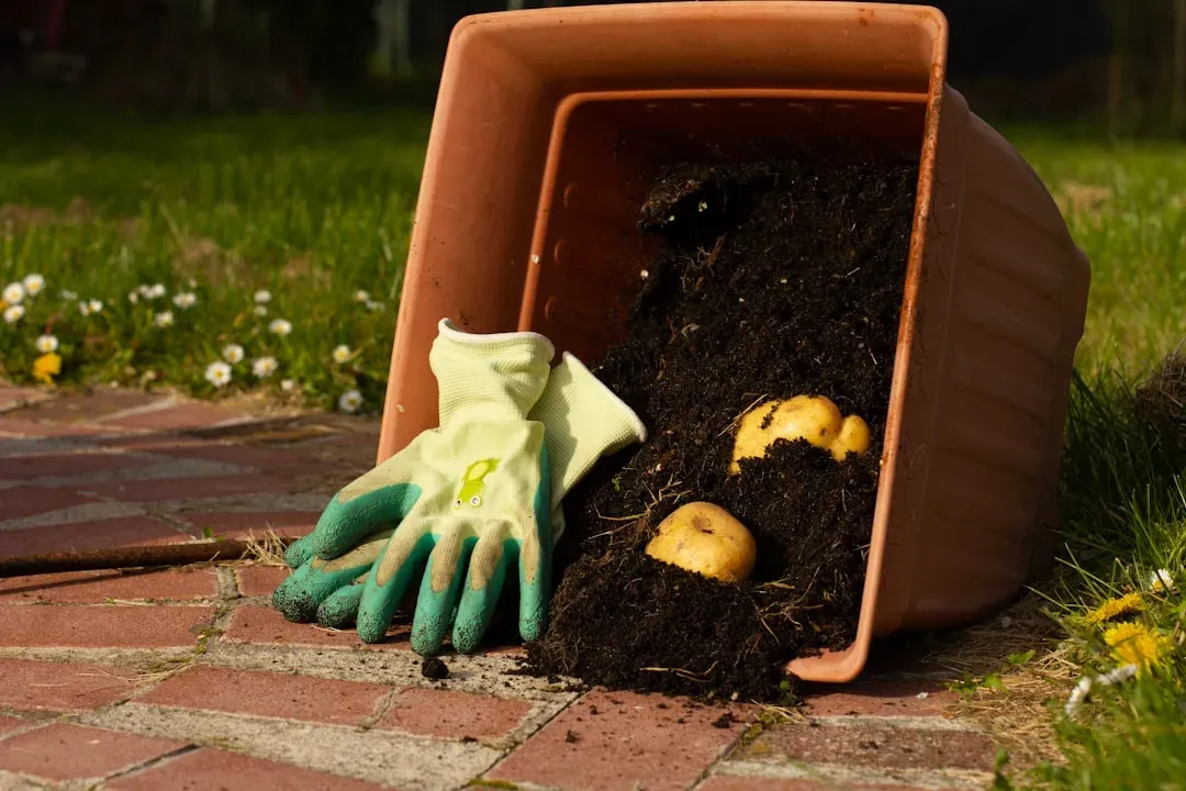 Build Healthy Soil (Image Credits: Unsplash)