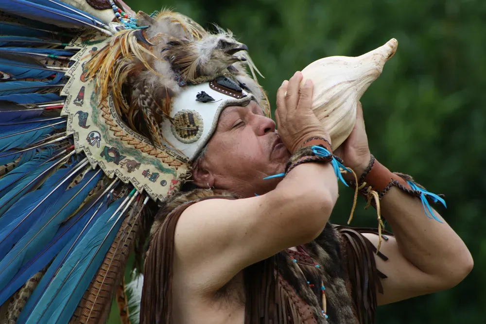 Seek Wisdom, Not Just Knowledge (Image Credits: Wikimedia)
