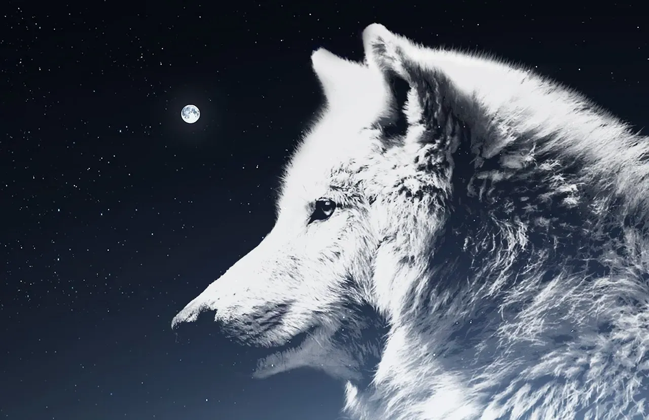 Pisces and the Wolf (February 19 - March 20) (Image Credits: Pixabay)