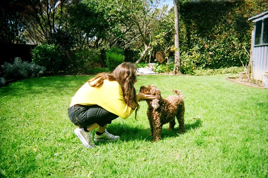 The Honest Truth About Dog-Friendly Gardens (Image Credits: Unsplash)