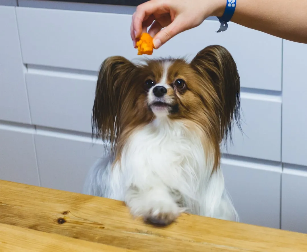 #8 - Whether Food Will Calm Them or Trigger a Problem (Image Credits: Unsplash)