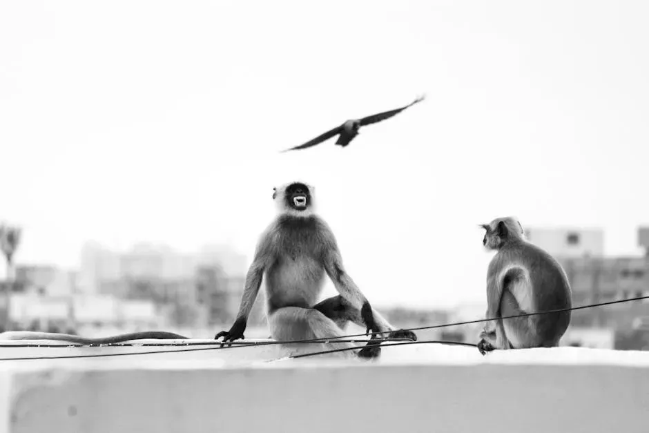 #3: Crows Have Working Memory on Par With Monkeys (Image Credits: Pexels)