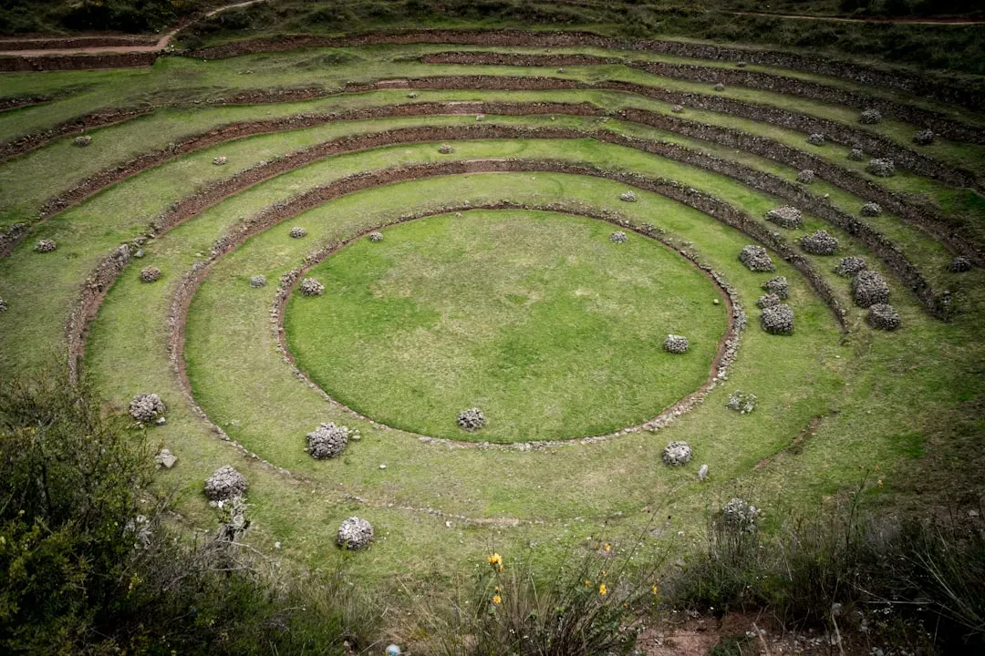 Medicine Wheel: Wyoming's Mountaintop Mystery (Image Credits: Unsplash)