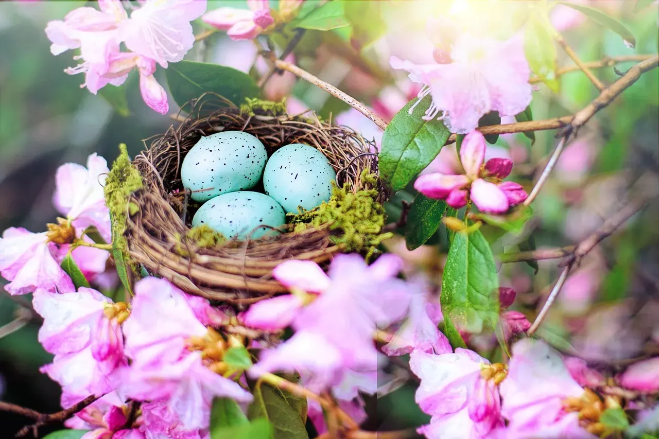 The Female Builds the Nest Alone, Using Her Own Body as a Mold (Image Credits: Pixabay)