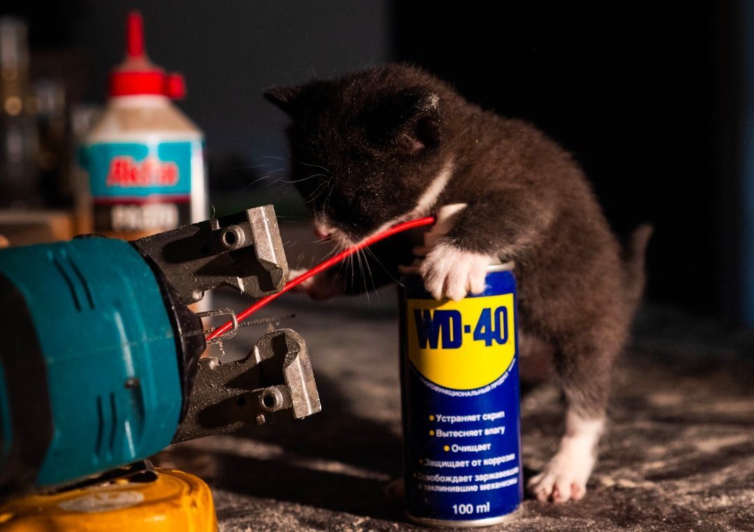 Household Cleaning Products (Image Credits: Unsplash)