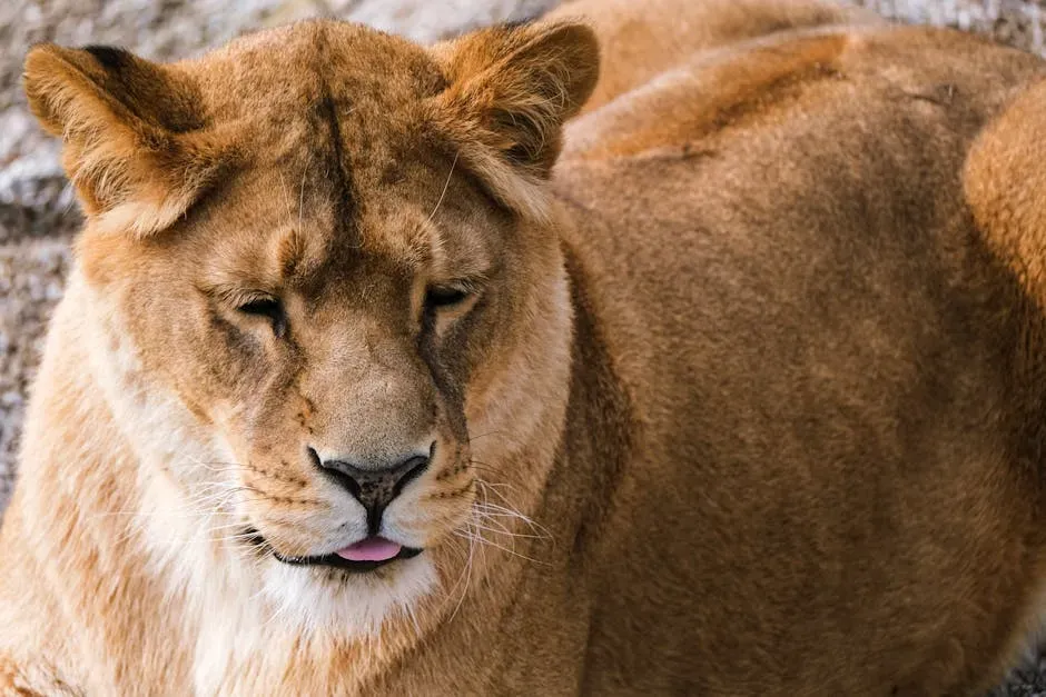Emotional Depth Suggested by These Actions (Image Credits: Pexels)