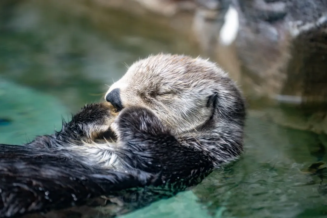 They Show Us What Recovery &ndash; and Responsibility &ndash; Actually Look Like (Image Credits: Unsplash)