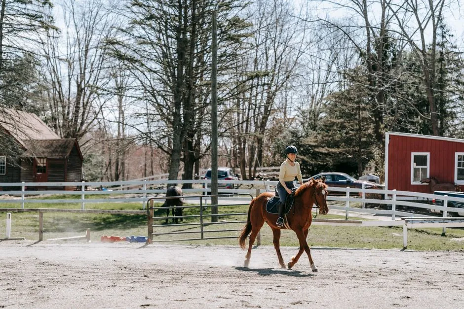 #6 - Saddlebreds & High-Action Show Breeds: Trained for Drama (Image Credits: Pexels)