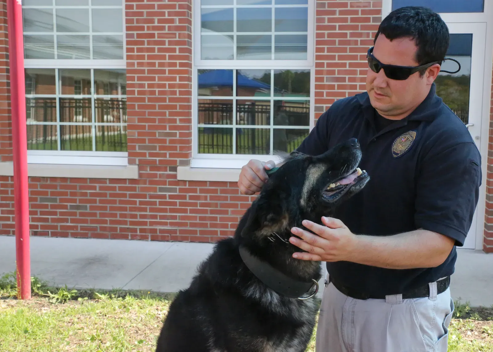 How to Earn More Trust From Your Dog (Image Credits: Wikimedia)