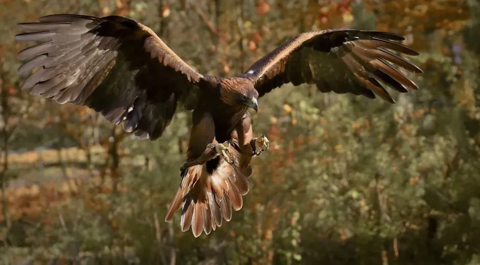 4. Golden Eagle - The Sky's Most Celebrated Hunter (Image Credits: Pexels)