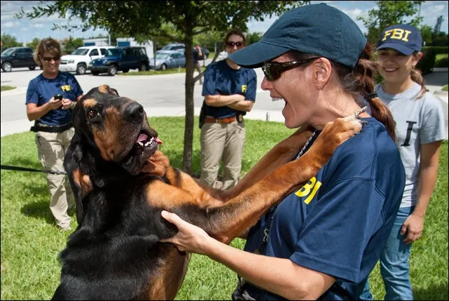 #6 &ndash; Bloodhound: The Tracking Legend Families Can't Live With (By Federal Bureau of Investigation, Public domain)