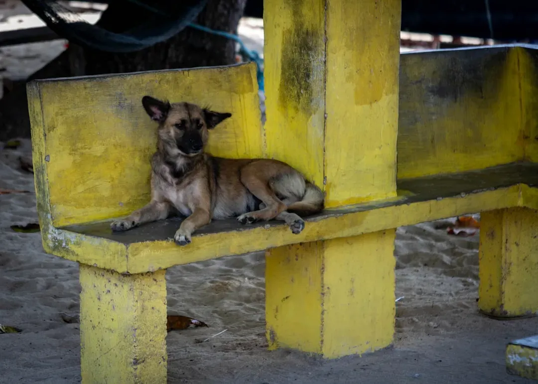 They Seek Out a Quiet, Secluded Spot (Image Credits: Unsplash)